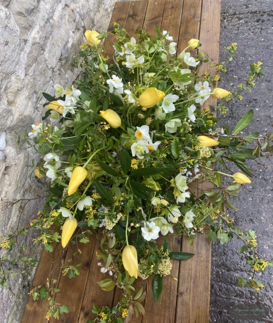Compostable Spray - From £180